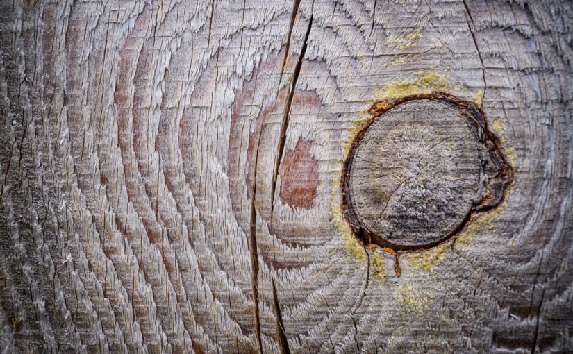 Tartak – Źródło Wyjątkowego Drewna: Buduj Z Zapałem i Trwałością.
